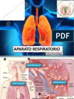 Aparato Respiratorio