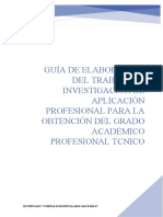 Guía de Elaboración Del Trabajo de Investigación de Aplicación Profesional