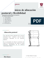 Ejercicios Básicos de Alineación Postural