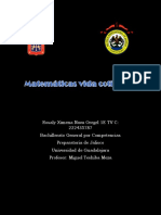 Proyecto Integrador Matematicas