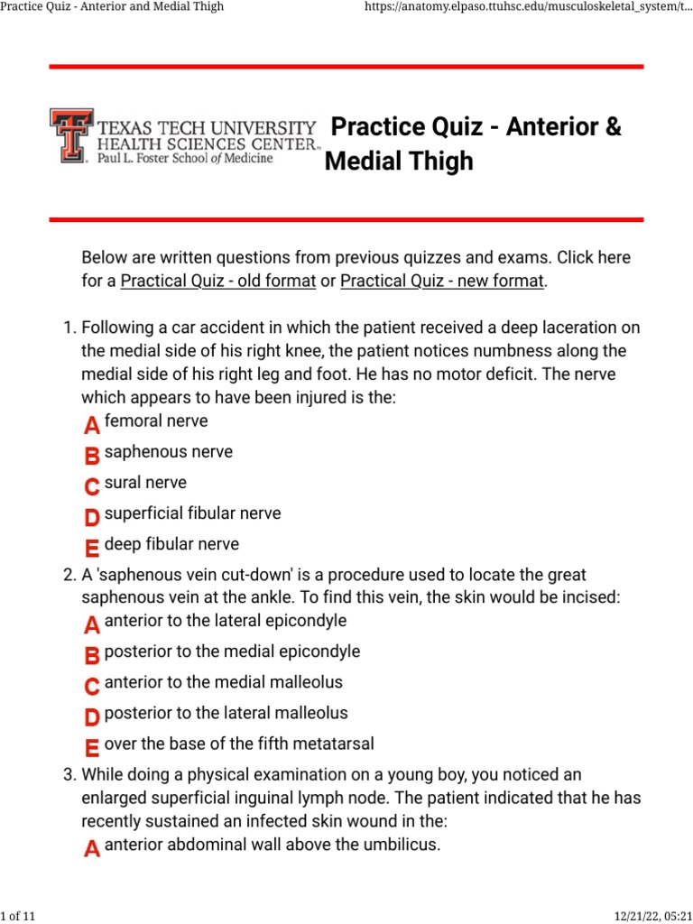 Understanding Anatomy of the Anterior and Medial Thigh Through Practice ...