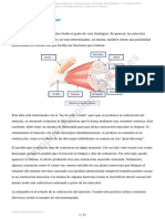 El Sistema Muscular