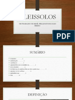 Gleissolos: definição, critérios e ambientes