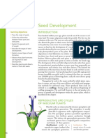 Seed Development