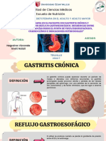 Certificación Dietoterapia Del Adulto