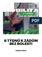 Mobilita Online - Honza Šach