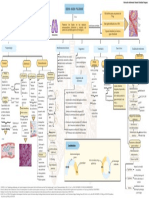 Mapa EDEM AGUDO PULMONAR