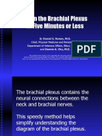 Brachial Plex Easy Diagram