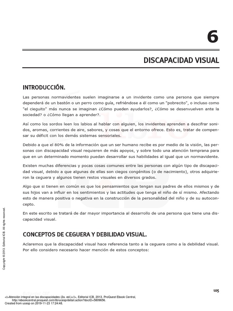 6 Discapacidad Visual | PDF | Ojo humano | Percepción visual