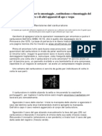 053 Manuale Completo Per Ape E Vespa MOTORE E CARBURATORE ITA