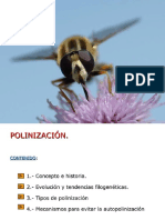 Polinizacion Completo