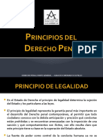 03 Los Principios Del Derecho Penal