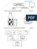 Examen de Ciencia y Ambiente Agosto