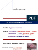 Leishmaniose: Sintomas, Diagnóstico e Tratamento