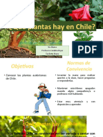 Clase 5 PLANTAS DE CHILE