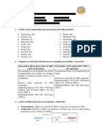 Taller Código Genético y Procesamiento de Proteínas