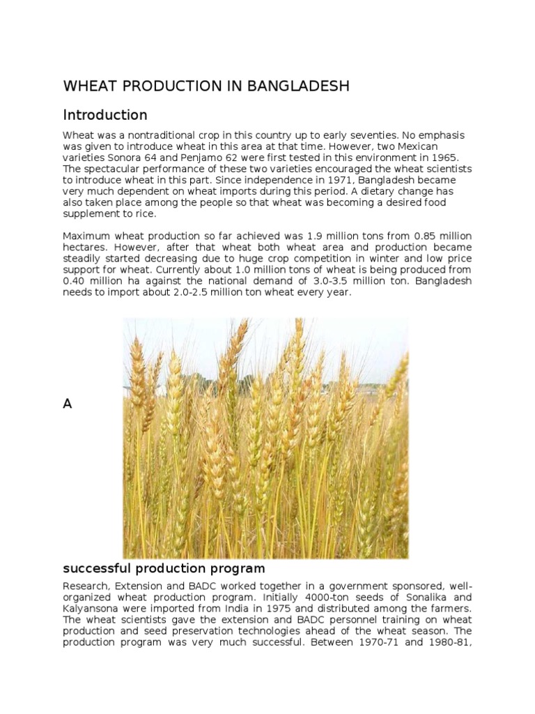 literature review on wheat