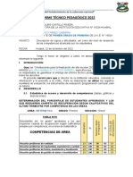 Iinforme Tecnico Pedagógico 2022