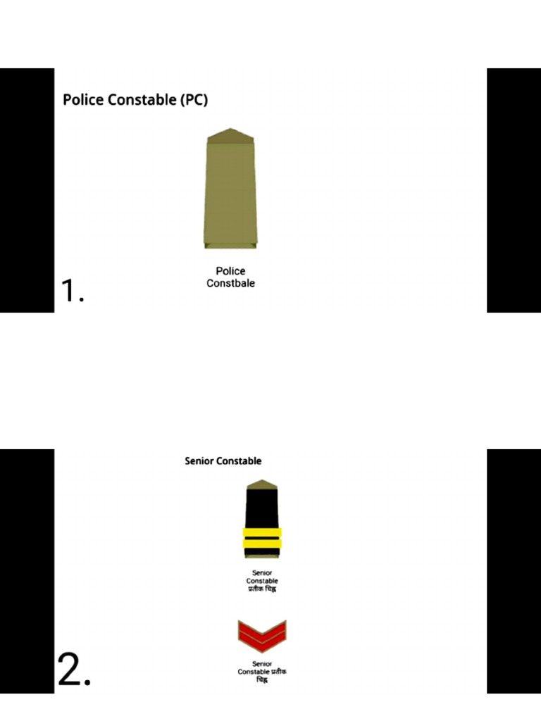 Police Rank Hierarchy Overview | PDF