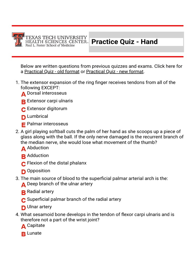 Practice Quiz - Hand - 1620840217189 | PDF | Thumb | Hand
