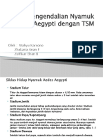 Presentasi TSM