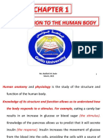 Chapter 1 Introduction to the Human Body