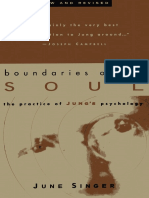 Boundaries of The Soul :the Practice of Jungs Psychology