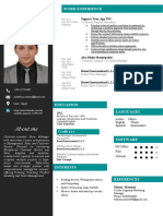 77 Curriculum Vitae Outline