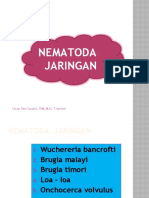 Nematoda Jaringan