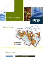 Regiões Vitivinícolas de Portugal