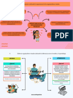 Importancia de Los Organizadores Visuales