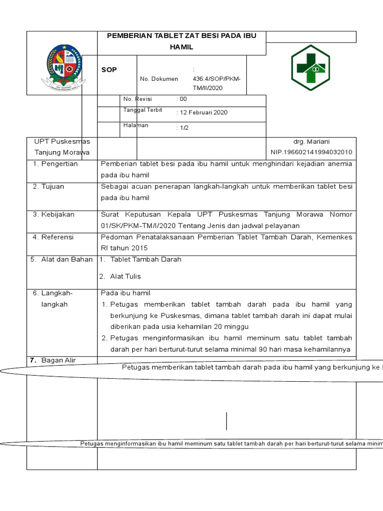 Pemberihan tablet zat besi untuk mencegah anemia pada ibu hamil pdf