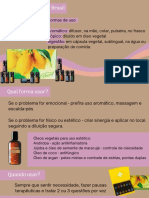 Protocolo Inicial Cadastro Consultora - Kit Living Brasil