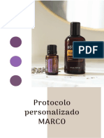 Protocolo Personalizado - Marco