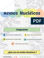 Ácidos Nucleicos