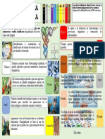 Colores de La Biotecnología