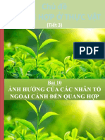 Bai 10 Anh Huong Cua Cac Nhan to Ngoai Canh Den Quang Hop