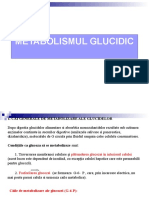 Metabolismul Glucidic