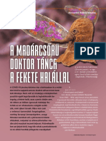 A Madárcsőrű Doktor Tánca A Fekete Halállal. A Pestismaszkok Története