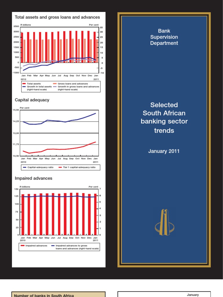 Banking Sector January 2011 | PDF