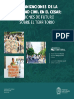 Organizaciones de La Sociedad Civil en El Cesar. Visiones de Futuro Sobre El Territorio