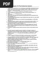 Download Chapter 16 the Endocrine System by Corey Allen Ostrander SN61678878 doc pdf