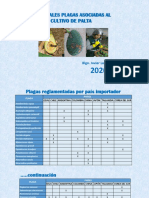 PLAGAS PALTA 2020 Productores