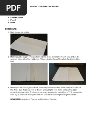 DNA Model Activity
