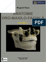 Elemente de Anatomie Oro Maxilo Faciala