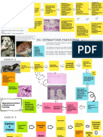 PVS Práctica de Patología Piel (Patogenias)
