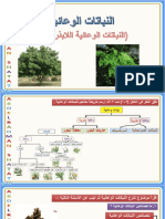 النباتات الوعائية اللابذرية