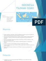 Indonesia Tsunami Sismo