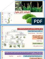 النباتات اللاوعائية