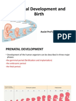 NMD-4 Prenatal Development